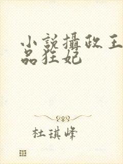 小说摄政王的医品狂妃