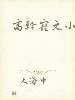 高干宠文小说