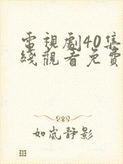 电视剧40集在线观看免费