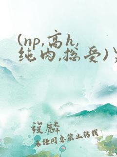 (np,高h,纯肉,总受)男男