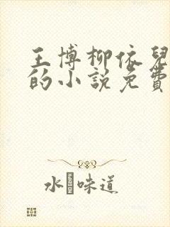 王博柳依儿主角的小说免费阅读