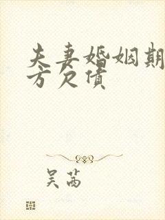 夫妻婚姻期间一方欠债