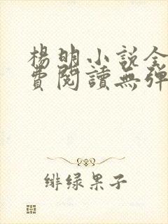 杨明小说全文免费阅读无弹窗