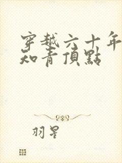 穿越六十年代小知青顶点