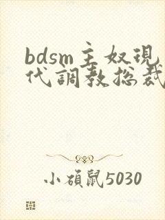 bdsm主奴现代调教总裁文