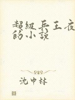 超级兵王夜风武的小说