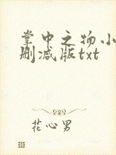 掌中之物小说未删减版txt