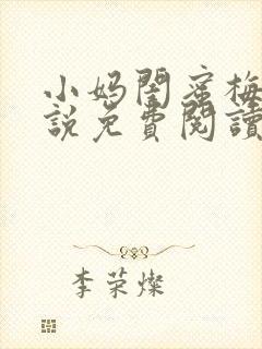 小妈闺蜜梅姨小说免费阅读