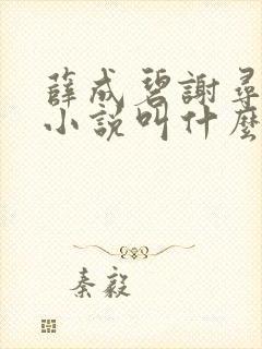 薛成碧谢寻原著小说叫什么