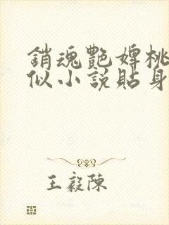 销魂艳婢桃儿类似小说贴身丫鬟