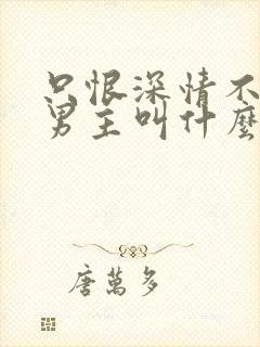 只恨深情不识鸢男主叫什么