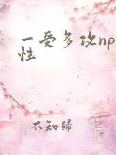 一受多攻np双性