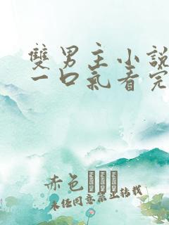 双男主小说推文一口气看完.