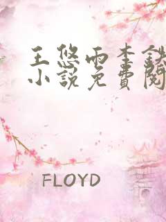 王悠雨李铁军的小说免费阅读