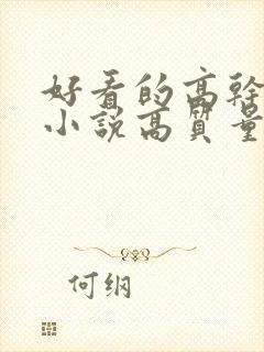 好看的高干言情小说高质量文笔好