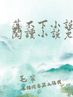 落不下小说在线阅读小说免费