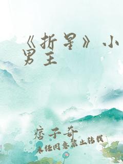 《折星》小说双男主