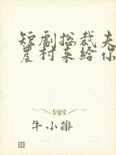 短剧总裁夫人从农村来给你撑腰了全集免费