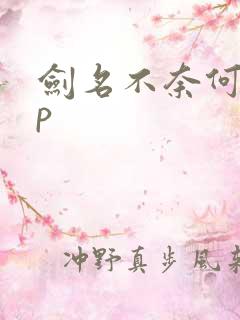 剑名不奈何副cp