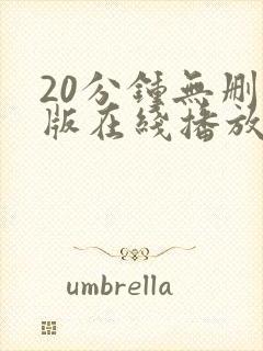 20分钟无删减版在线播放