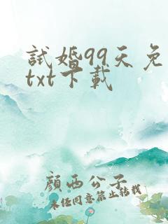 试婚99天免费txt下载
