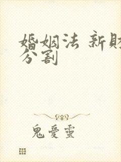 婚姻法 新财产分割