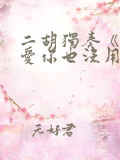 二胡独奏《那么爱你也没用》