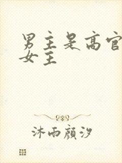 男主是高官觊觎女主
