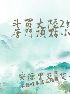 斗罗大陆2绝世唐门顶点小说网