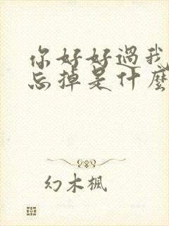 你好好过我慢慢忘掉是什么歌