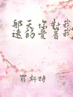 那天你对我说永远的爱着我是什么歌