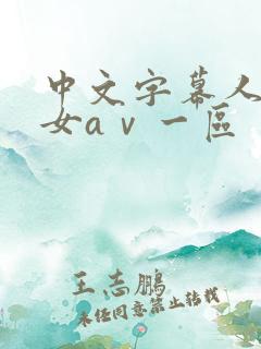 中文字幕人妻熟女aⅴ一区