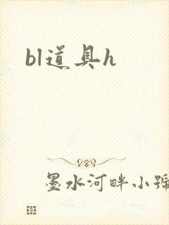 bl道具h