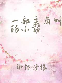 一部主角叫叶阳的小说