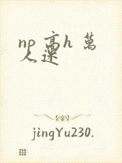 np 高h 万人迷
