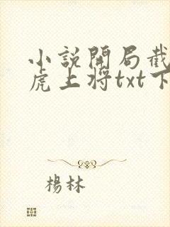 小说开局截胡五虎上将txt下载