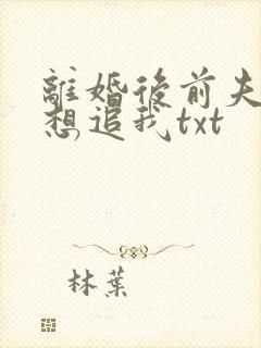 离婚后前夫总是想追我txt