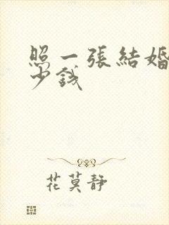 照一张结婚照多少钱