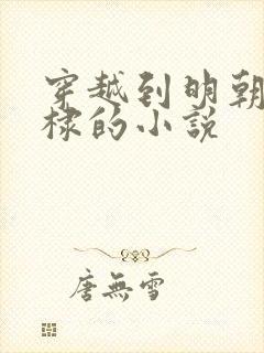 穿越到明朝成朱棣的小说