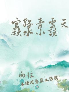 官路青云天骄余秋水小说