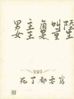 男主角叫陆霆琛女主是重生的