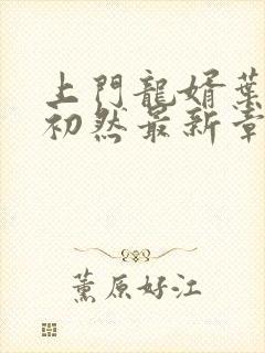 上门龙婿叶辰萧初然最新章节