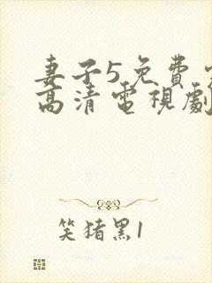 妻子5免费完整高清电视剧在线