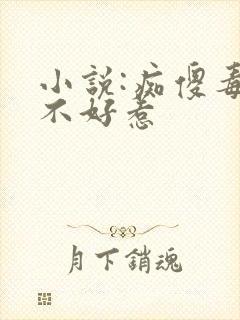 小说:痴傻毒妃不好惹