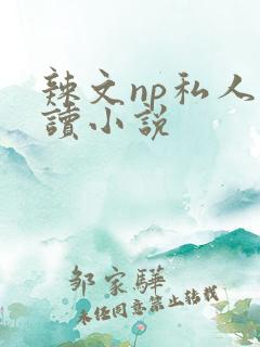 辣文np私人阅读小说