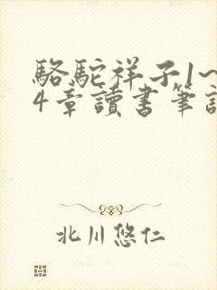 骆驼祥子1~24章读书笔记【15篇】