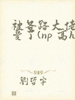 被各路大佬强制爱了(np 高h