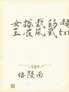 女总裁的超级兵王夜风武txt