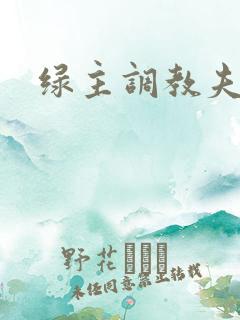 绿主调教夫妻奴