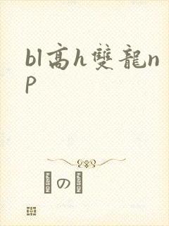 bl高h双龙np